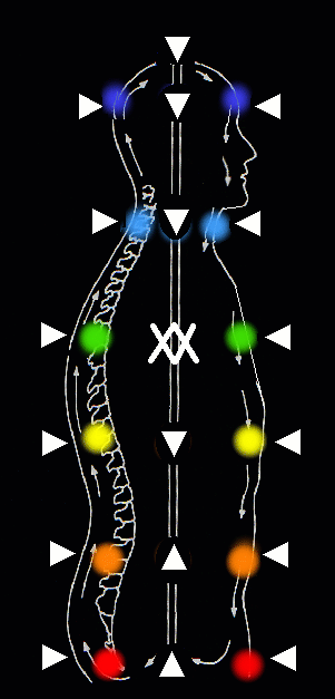 Diagramma dei chakra